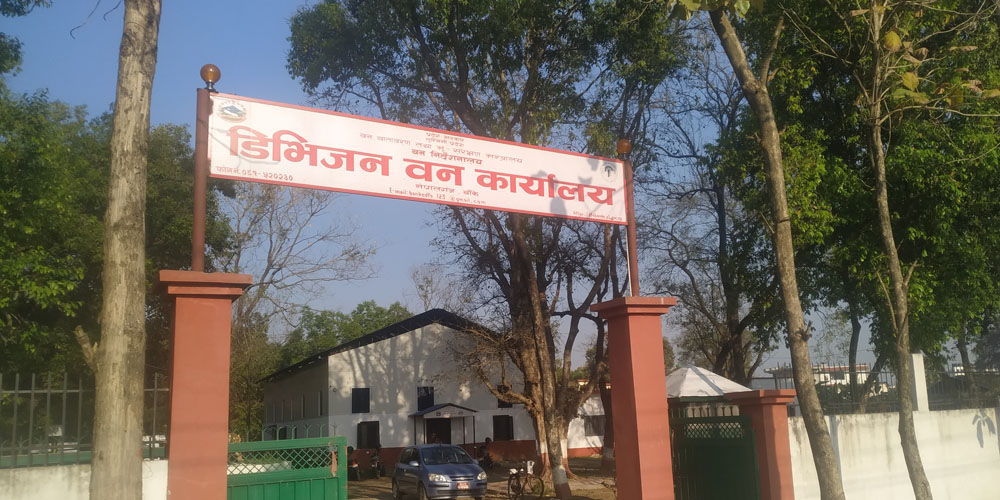 एक वर्षमा वन सम्बन्धी २३ वटा मुद्दा दर्ता Image