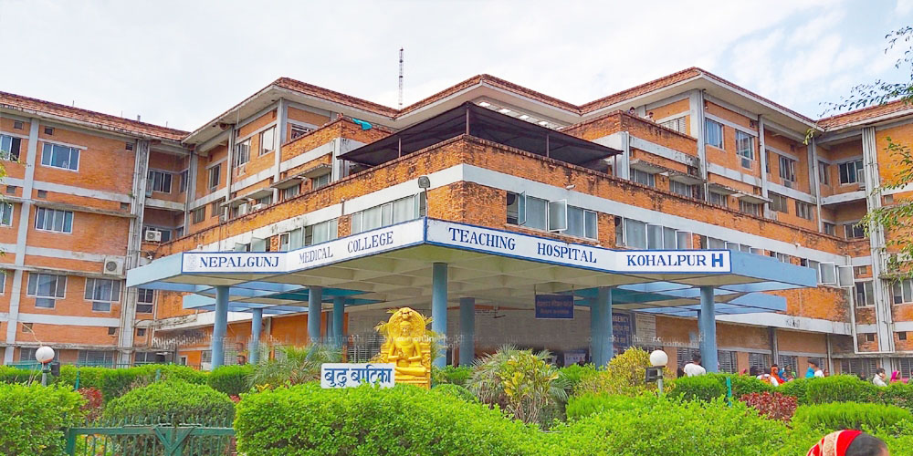 उच्च अदालतले आन्दोलनरत कर्मचारीलाई भन्यो–अस्पतालको सेवा प्रवाहमा अवरोध नगर्नु Image