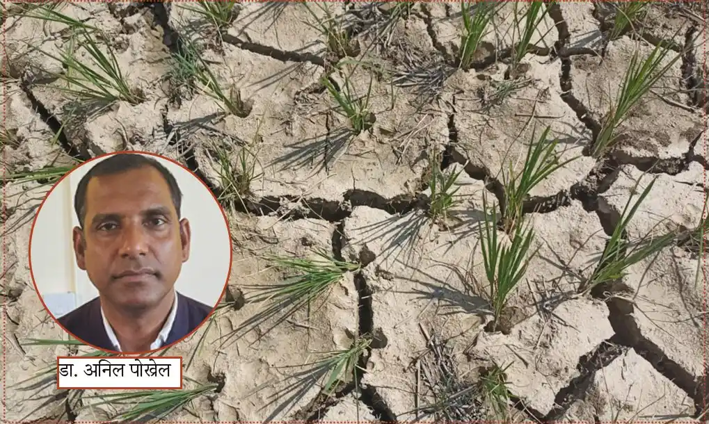 लामो खडेरी, धान र जमिन व्यवस्थापन Image